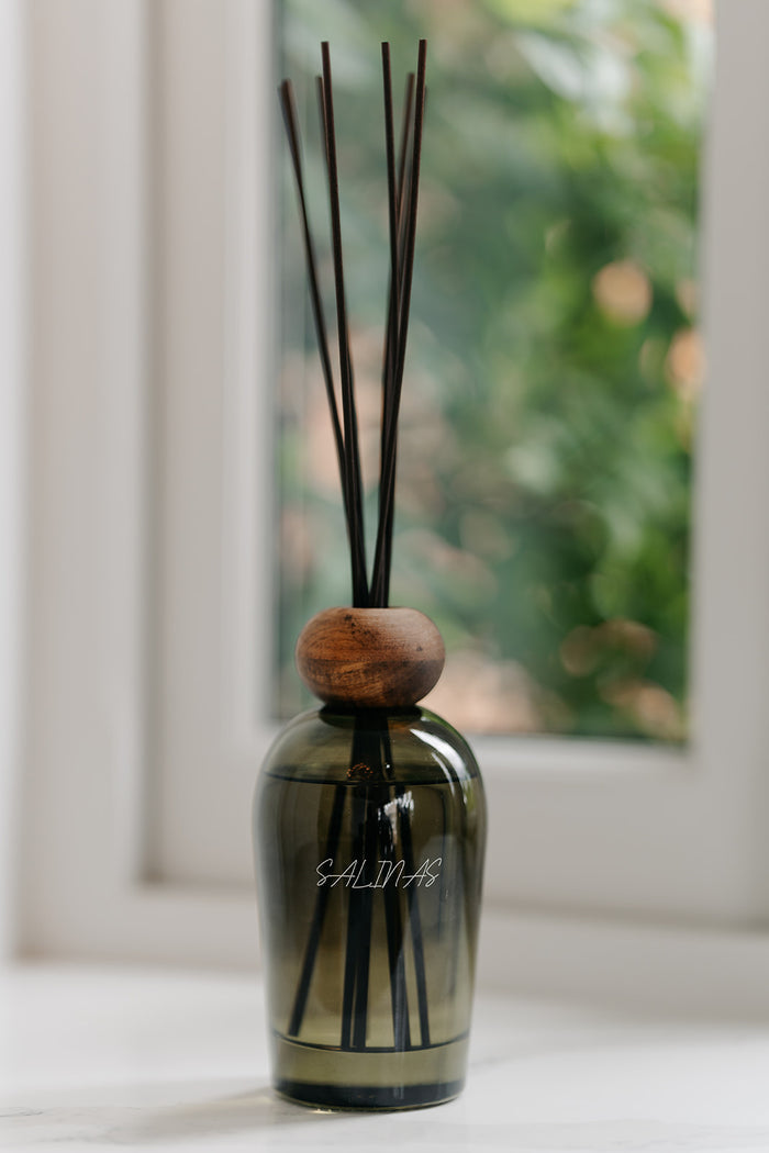 A reed diffuser bottle made of dark smoky glass with a round wooden stopper and several dark reeds, placed on a windowsill with a blurred window and greenery in the background.