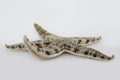 Sand Sifting Sea Starfish (Astropecten polycanthus)