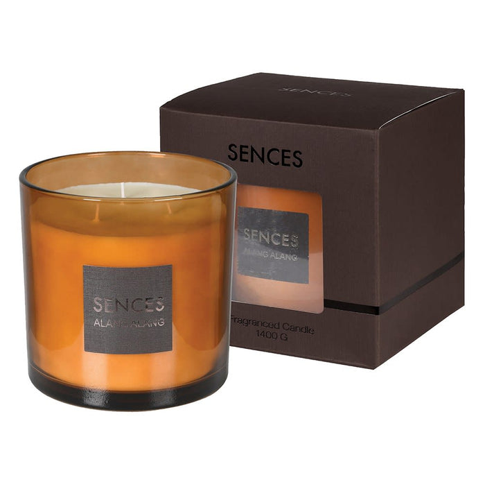 Sences Amber Large Alang Alang 3 Wick Candle