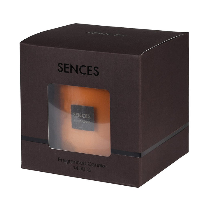 Sences Amber Large Alang Alang 3 Wick Candle