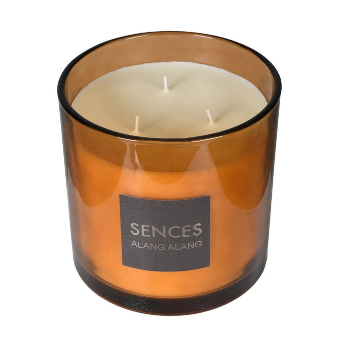 Sences Amber Large Alang Alang 3 Wick Candle