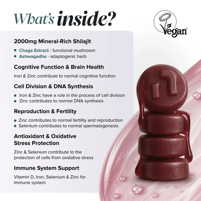 Graphic headed 'What's inside?' with a Vegan Society logo, beside a stack of glossy dark red gummies, listing 2000 mg mineral-rich shilajit with chaga extract as a functional mushroom and ashwagandha as an adaptogenic herb, then cognitive function and brain health from iron and zinc, cell division and DNA synthesis, reproduction and fertility from zinc and selenium, antioxidant and oxidative stress protection, and immune system support from vitamin D, iron, selenium and zinc.