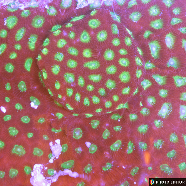 Sector 001-5183641-3860332