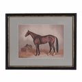 Stallion Beauty Framed Picture
