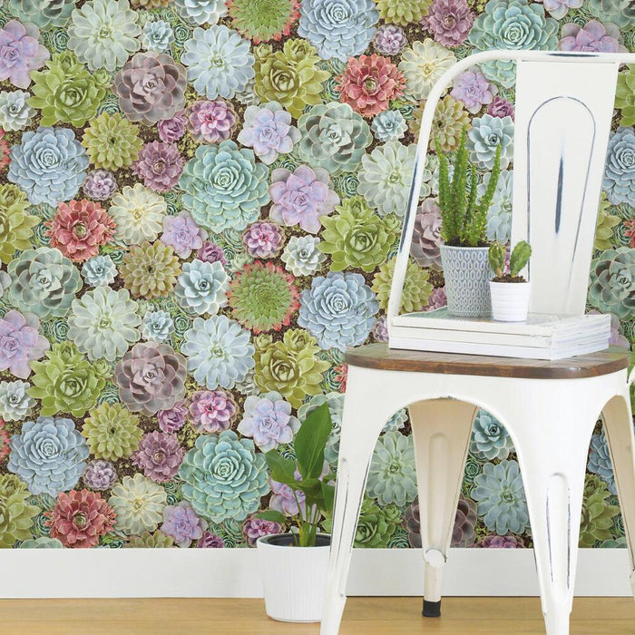 SUCCULENTS PEEL & STICK WALLPAPER