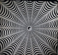 Black & White Trippy Yin Yang 3D Effect Tapestry