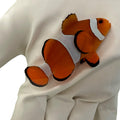 True Percula Clownfish(Amphiprion Percula)