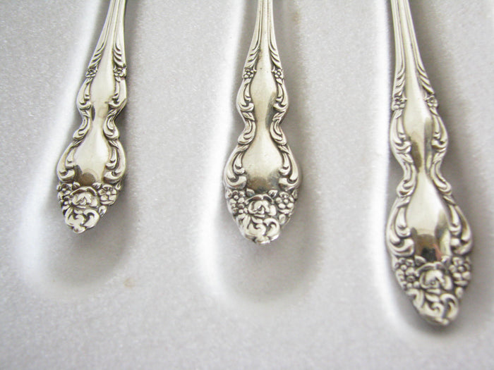 edgebrookhouse - Vintage 1967 Rogers Oneida Baroque Rose Silverplate Children's Progress Flatware Set - 6 Pieces