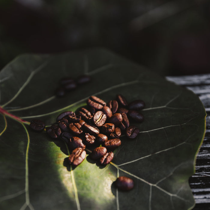 YOLO ORGANIC DECAF BLEND COFFEE 12OZ.