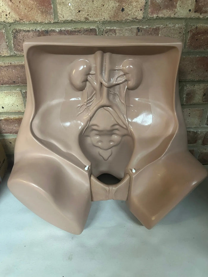 Zoe Gynaecologic Simulator gynecologic exam simulator SelfiMed UK