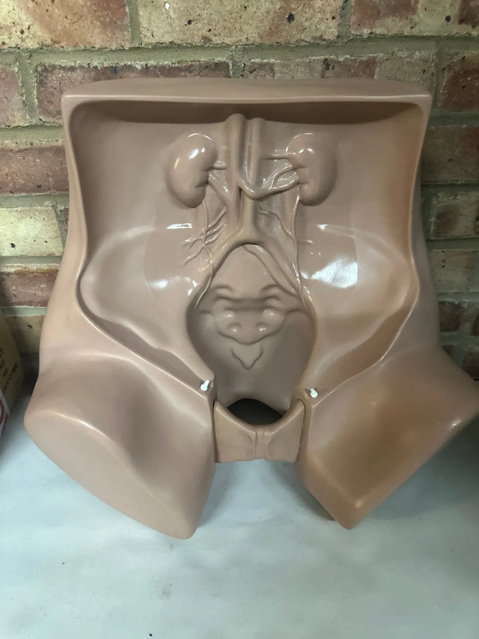 Zoe Gynaecologic Simulator gynecologic exam simulator SelfiMed UK