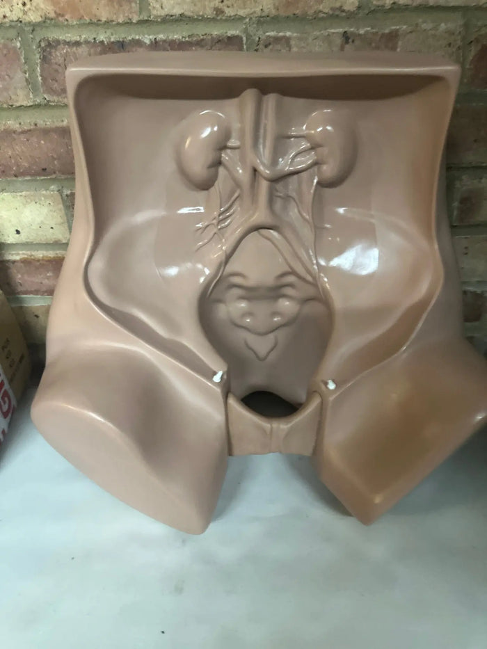 Zoe Gynaecologic Simulator gynecologic exam simulator SelfiMed UK